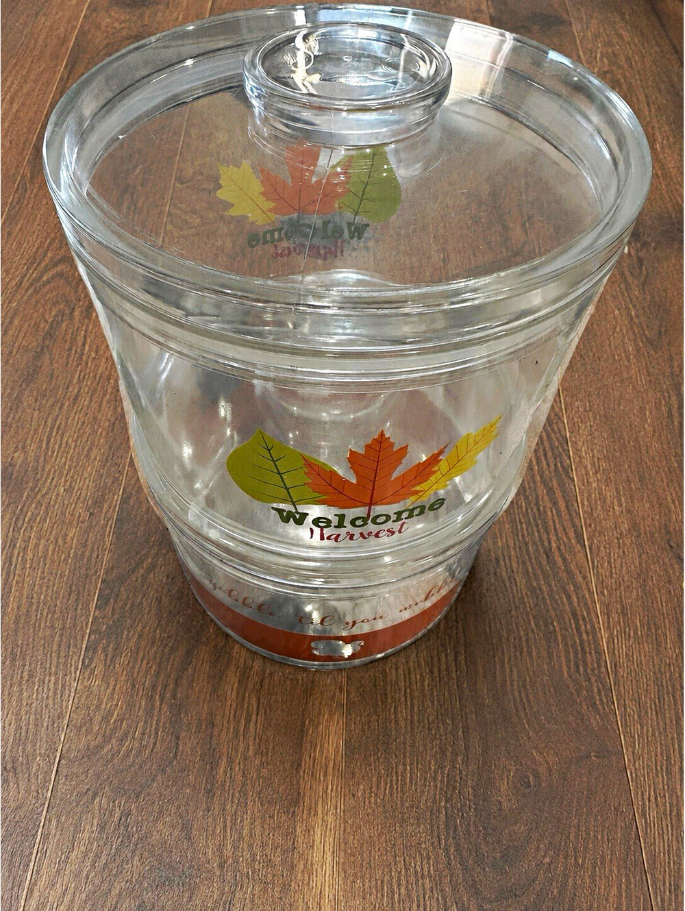Welcome Harvest Leaf Pattern Clear Acrylic Decorative 2 Bowls w/ Lid